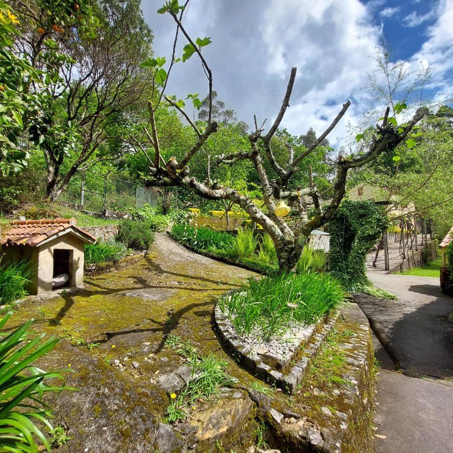 Watermill Moinho Garcia Hostel Pinheiro da Bemposta ภายนอก รูปภาพ