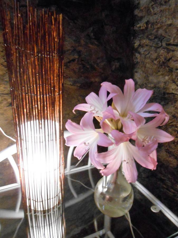 Watermill Moinho Garcia Hostel Pinheiro da Bemposta ภายนอก รูปภาพ