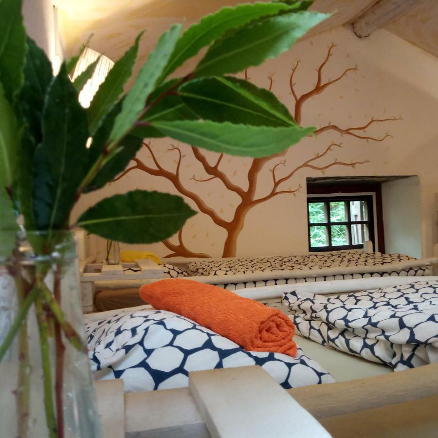 Watermill Moinho Garcia Hostel Pinheiro da Bemposta ภายนอก รูปภาพ